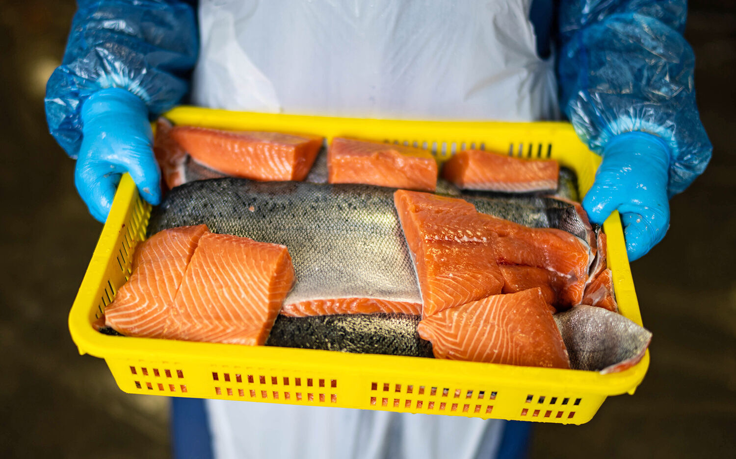 SPC salmon filets